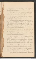 Nachlass Franz Steindachner, Prospect der Adria-Commission (Mai 1874), Inv.Nr. 4.01, Seite 19